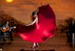 Trabajo del flamenco y sus origenes