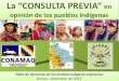 Texto sobre la Consulta Previa/Conamaq-Cidob