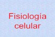 9. Fisiología Celular 2009
