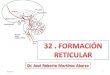 32 formacic3b3n-reticular