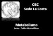 Metabolismo (cbc)