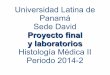 Proyecto Final y Laboratorios EMC-021 (Histología Médica II)
