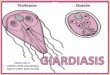 8 giaardiasis y ascariasis