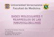"Bases moleculares y rearreglos de las inmunoglobulinas"