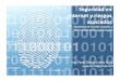 Seguridad en internet y riesgos asociados (resumen) 2011