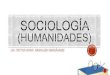 Sociología (humanidades)