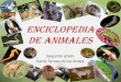 Enciclopedia de animales