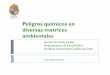 Matrices ambientales y peligros chile final