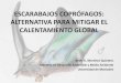 Bedir_Martínez_Quintero_Escarabajos coprófagos, alternativa para mitigar el calentamiento global