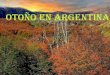 Otono en argentina - vu (1)