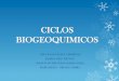 Grupo14.ciclos biogeoquimicos