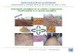 Cogeneracion por gasificacion de biomasa o residuos
