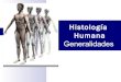 Histologia humana