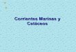 Corrientes marinas y  cetáceos ( de Canarias )