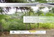 Manual Técnico para el control de la especie invasora Ailanthus altissima (Mill.) Swingle en Espacios Naturales Protegidos