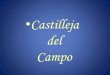 Castilleja Del Campo