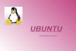 Linux / Ubuntu
