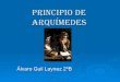 Prinicipio de Arquimedes