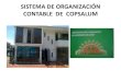 Sistema de  organización contable de  copsalum