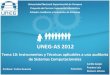 UNEG-AS 2012-Pres10: Instrumentos y técnicas aplicables a la auditoría de sistemas computacionales