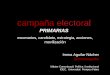 Campañas electorales. Primarias. Caso Elecciones abiertas a la Sec Gen del PSOE 2014
