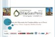 Análisis del mercado de combustibles en el Perú