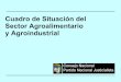 Cuadro De SituacióN Del Sector Agroalimentario Y Agroindustrial