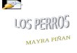 Mayra piñan