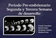 Período pre embrionario-1