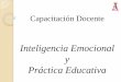 Capacitación docente   inteligencia emocional en la practica educativa