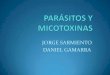 Micotoxina   y  parasitos