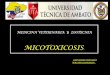 Micotoxicosis expo 9