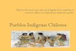 Pueblos indigenas-chilenos