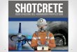 Presentación ICH - Lanzamiento Guía de Shotcrete ICH