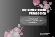 Experimentacion pedagogica1