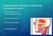Neuroanatomía funcional y fisiología del sistema masticatorio