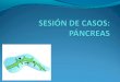 Lectura de caso: Cistoadenoma quístico pancreático