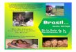 Ruta de resistencia de brasil 16 salida de brasil español