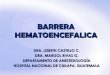 Barrera Hematoencefalica