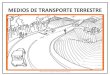 Presentacion transporte1