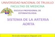 Sistema De La Aorta(