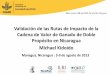 Validacion de Rutas de Impacto en la CV de Doble Proposito en Nicaragua (ESP)