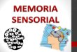 Psicología General I - Memoria Sensorial