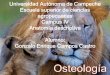 Osteologia medicina veterinaria