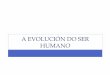 A evolución do ser humano hominidos