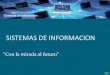 Sistemas de Información y Tecnologías de la Información