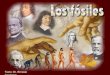 Creacionismo - Los fósiles, por Dr Ernesto Contreras