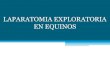 Expo Cirugia Laparatomia