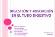 Digestión Y Absorción En El Tubo Digestivo