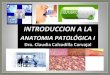 # 1 introduccion a anatomia patologica